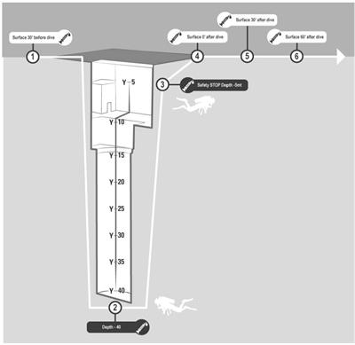 Altered Venous Blood Nitric Oxide Levels at Depth and Related Bubble Formation During Scuba Diving